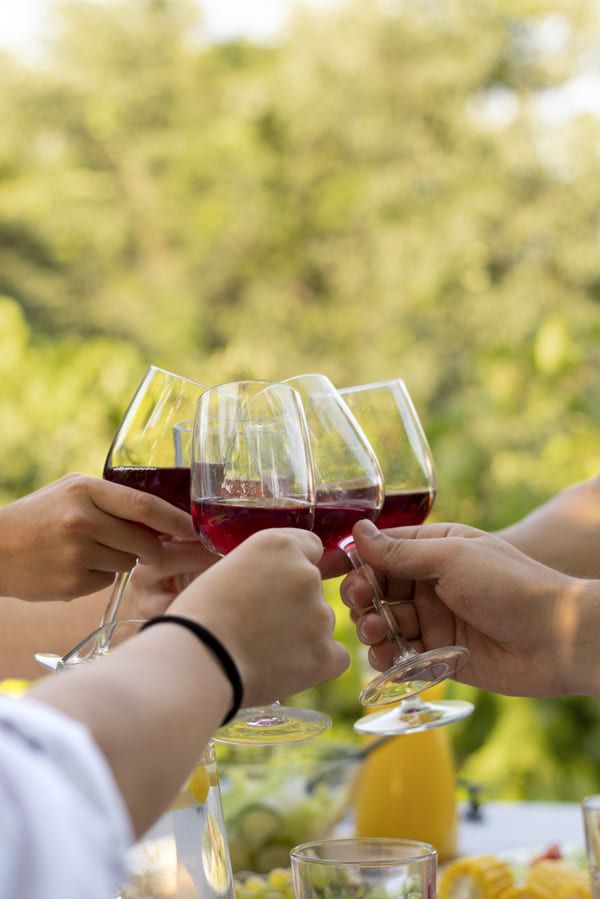 Brindis con vino tinto